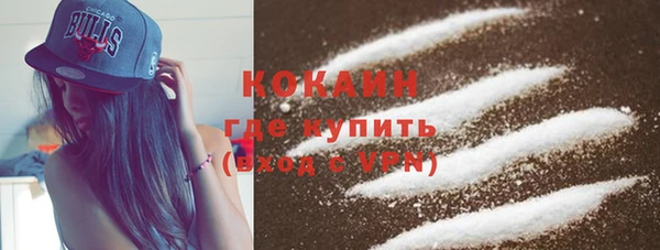 гидра Богородицк