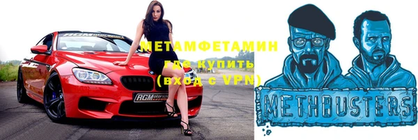 гидра Богородицк
