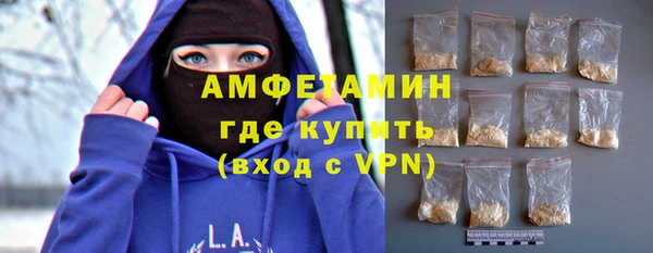 гидра Богородицк