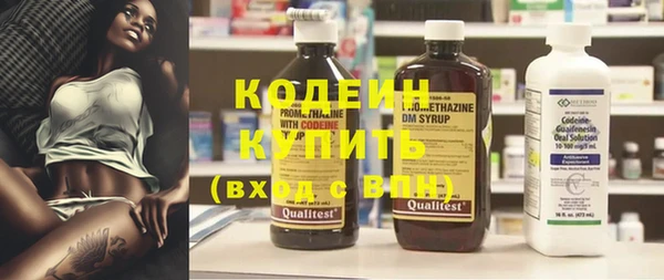 гидра Богородицк