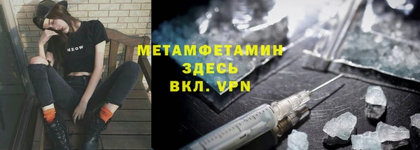 гидра Богородицк