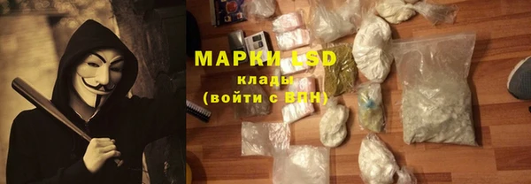 гидра Богородицк