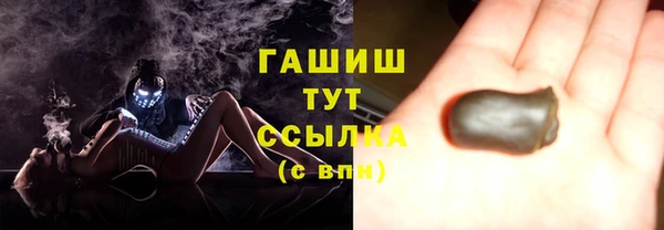 гидра Богородицк
