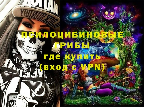 гидра Богородицк