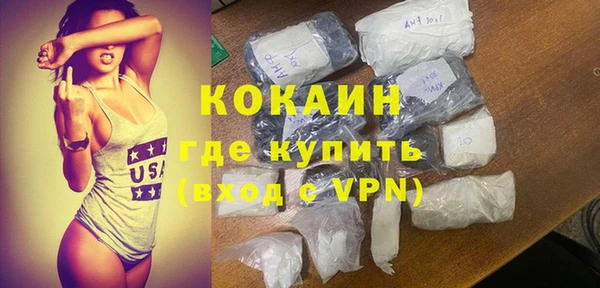 гидра Богородицк
