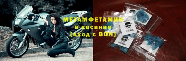 гидра Богородицк