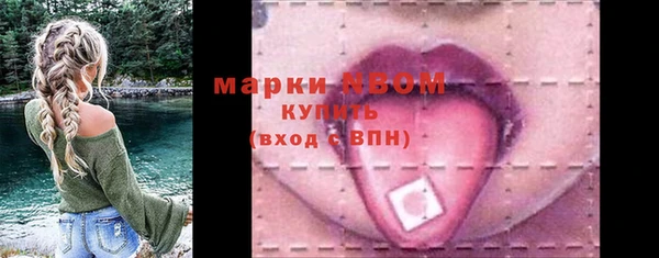 гидра Богородицк